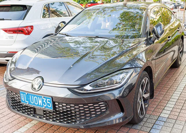 Volkswagen Lamando L, снимок 4