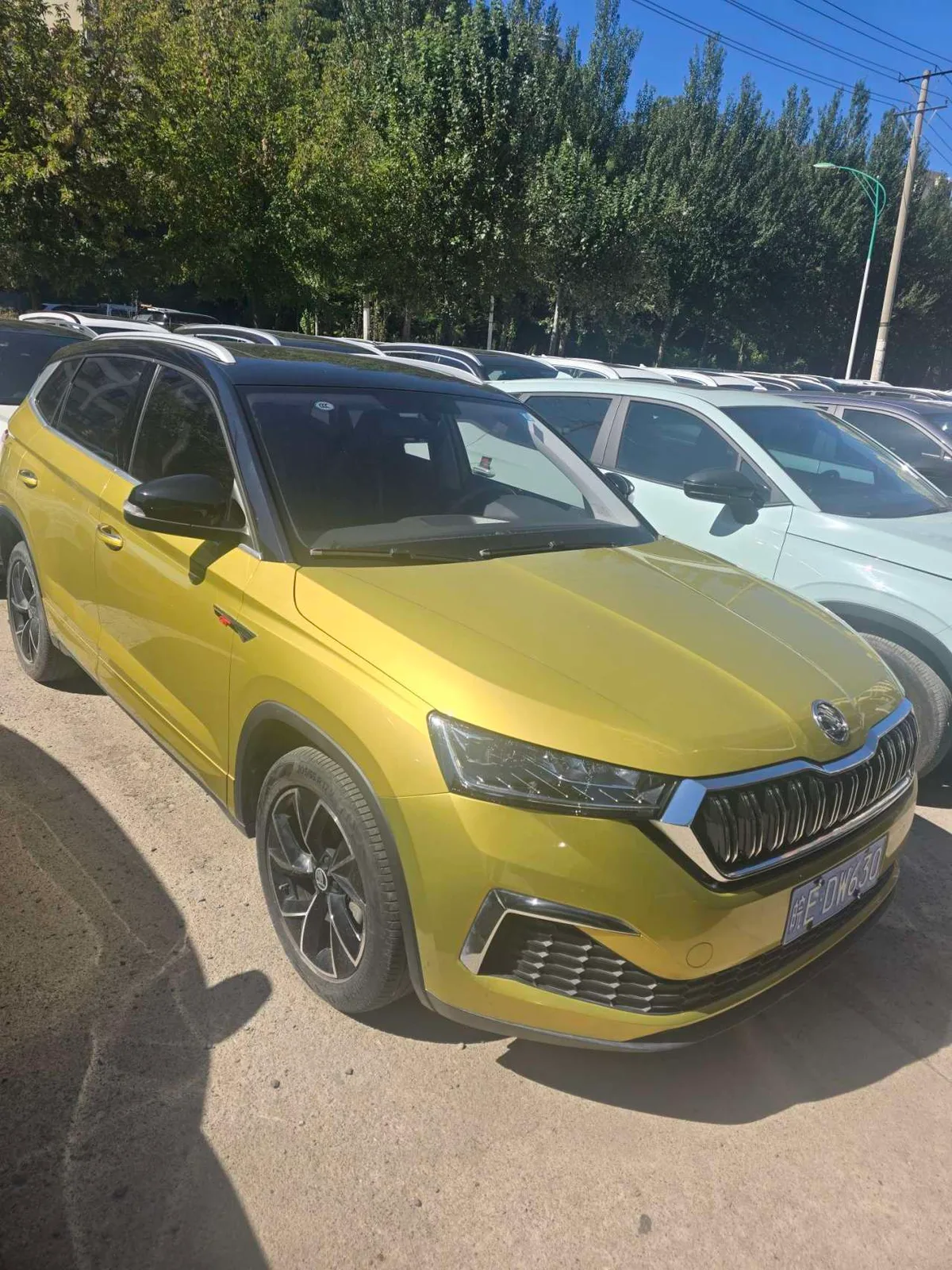 Skoda Kamiq 2019 года, снимок 3