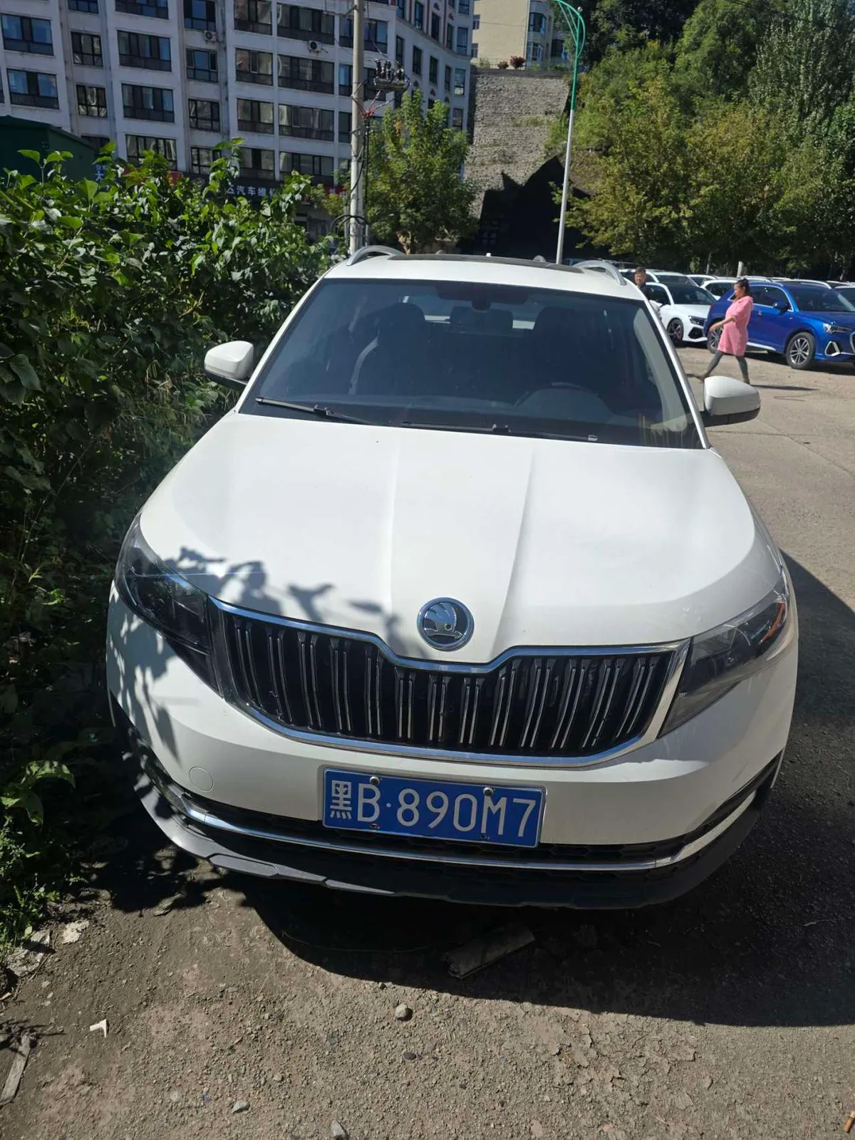 Skoda Kamiq 2020 года, снимок 2