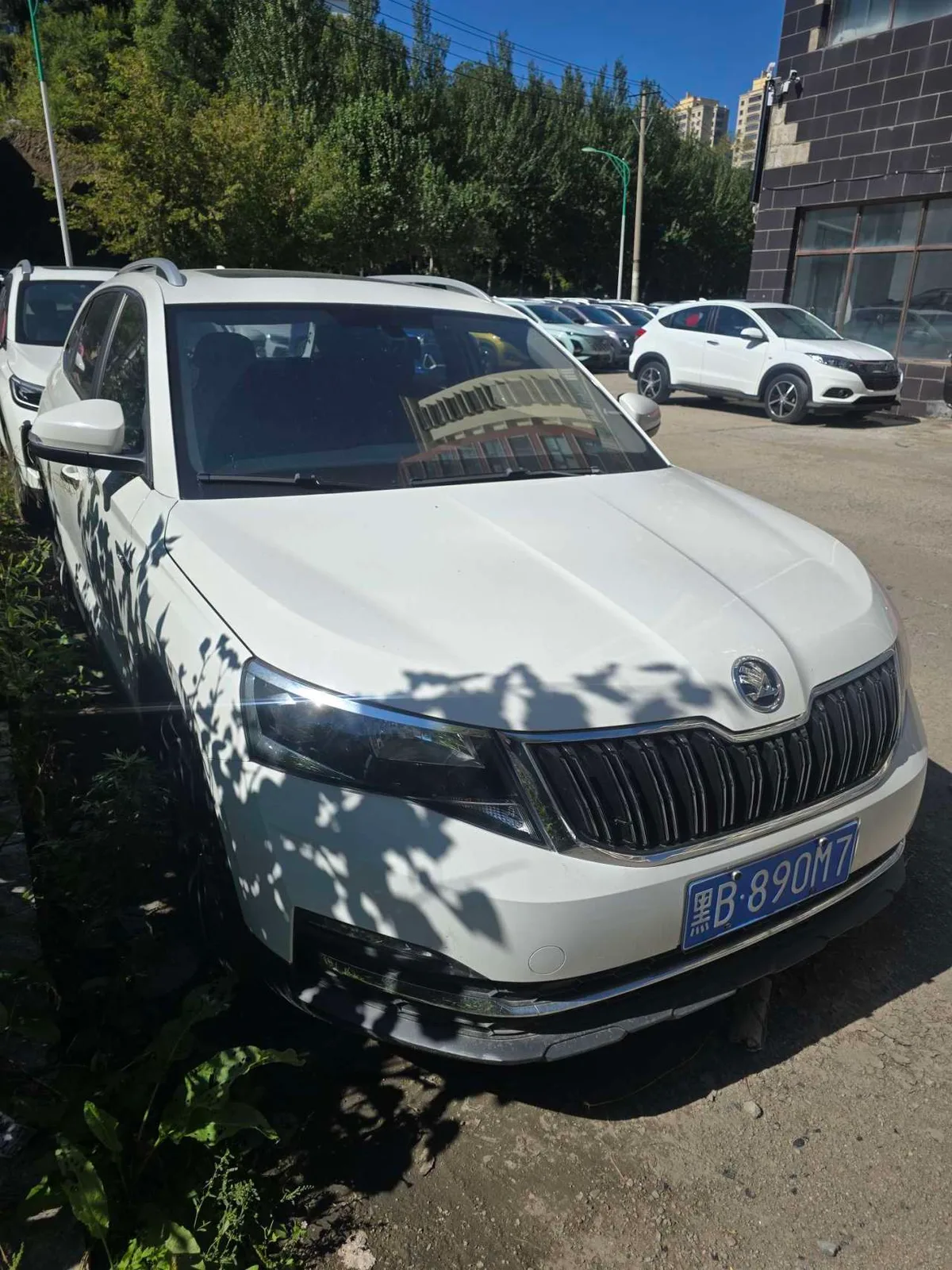 Skoda Kamiq 2020 года, снимок 3