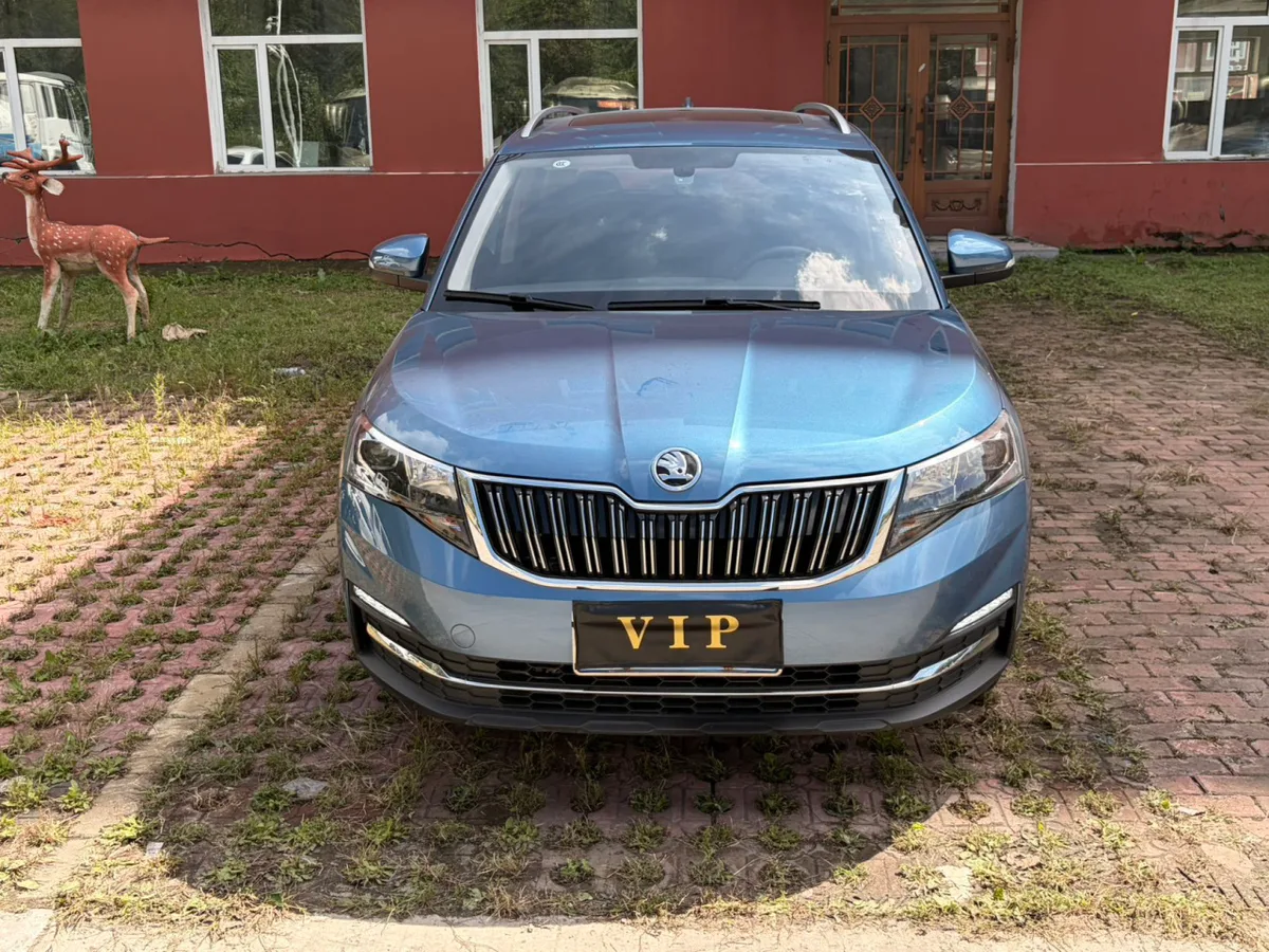 Skoda Kamiq 2022 года, снимок 2