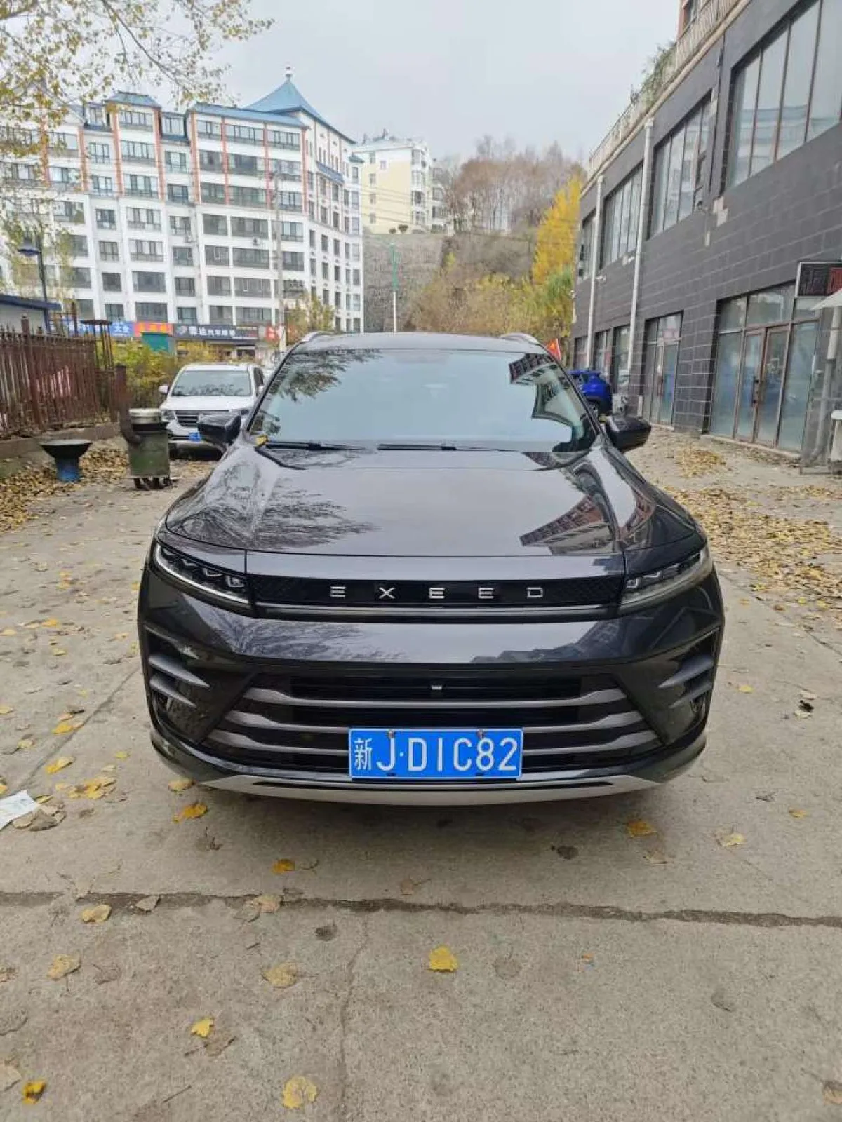 Exeed LX 2022 года, снимок 2
