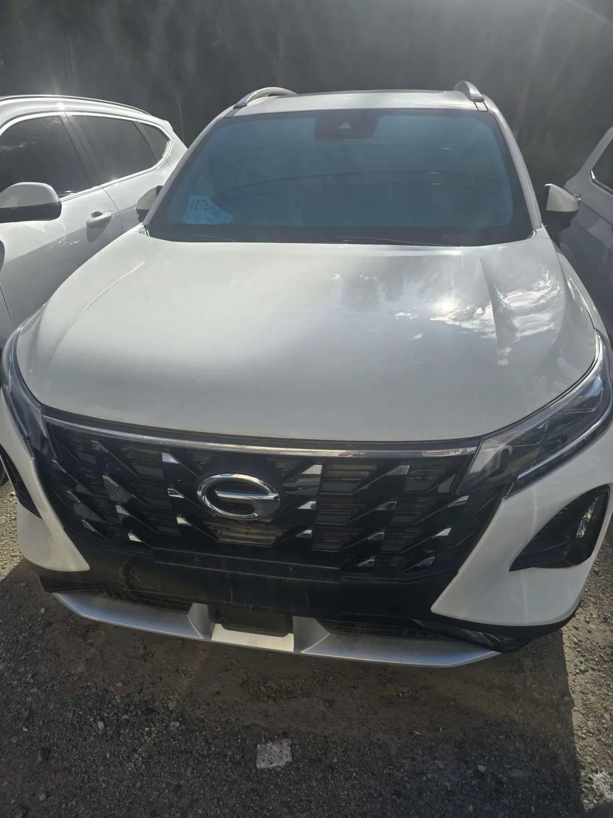 GAC Trumpchi GS4 2022 года, снимок 2