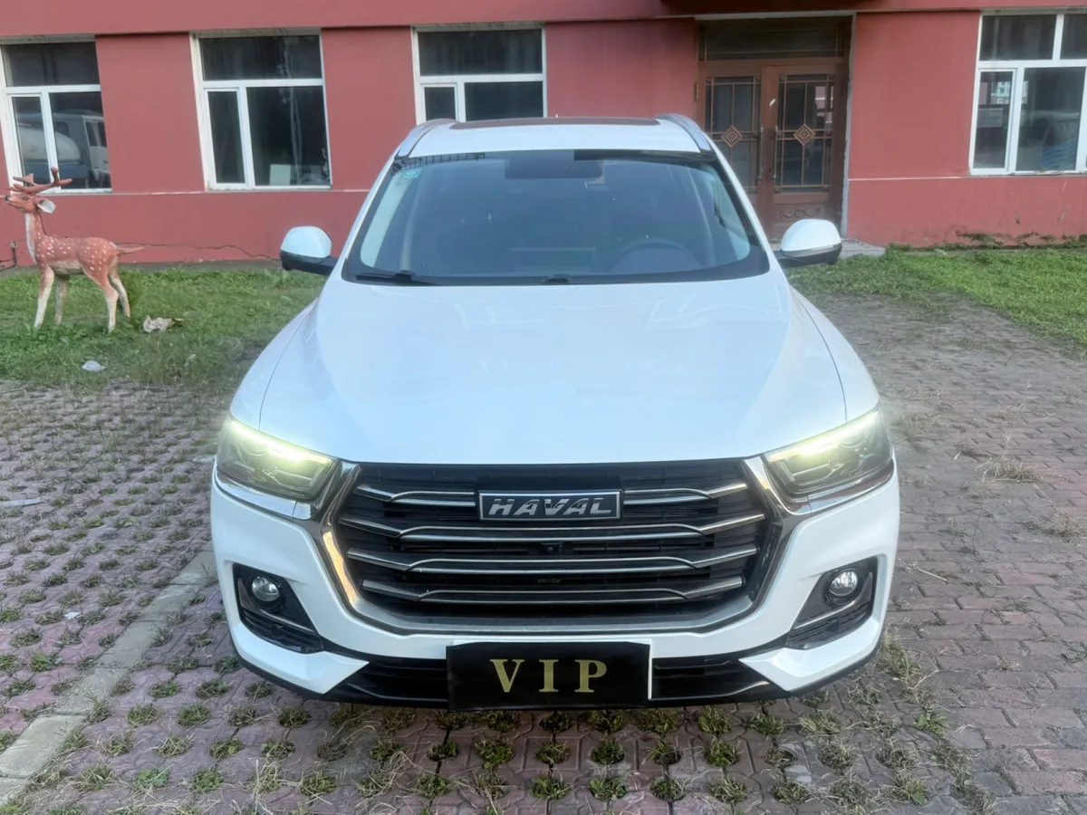 Haval H6 2022 года, снимок 2