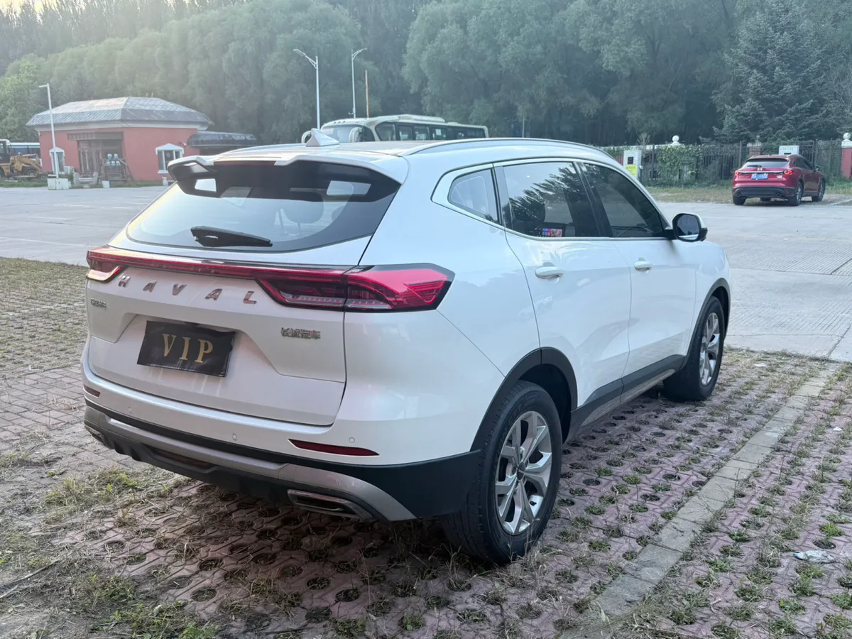 Haval H6 2022 года, снимок 6