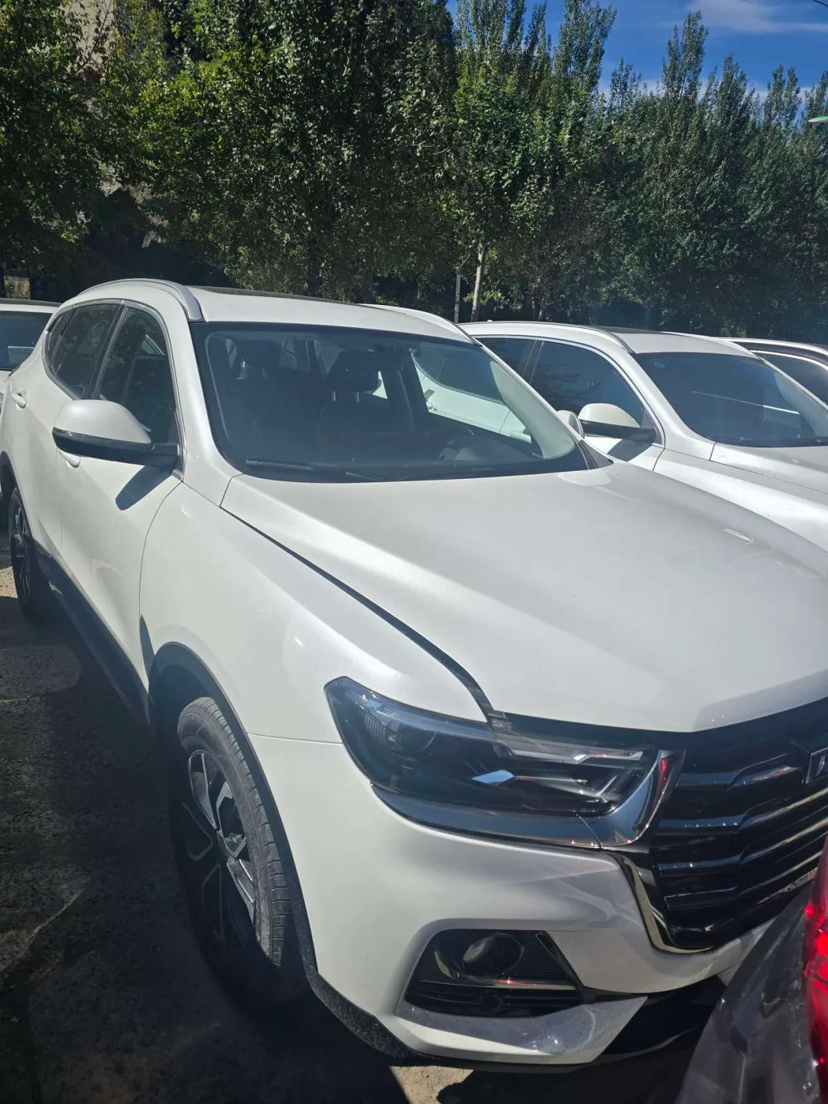 Haval H6 2023 года, снимок 2