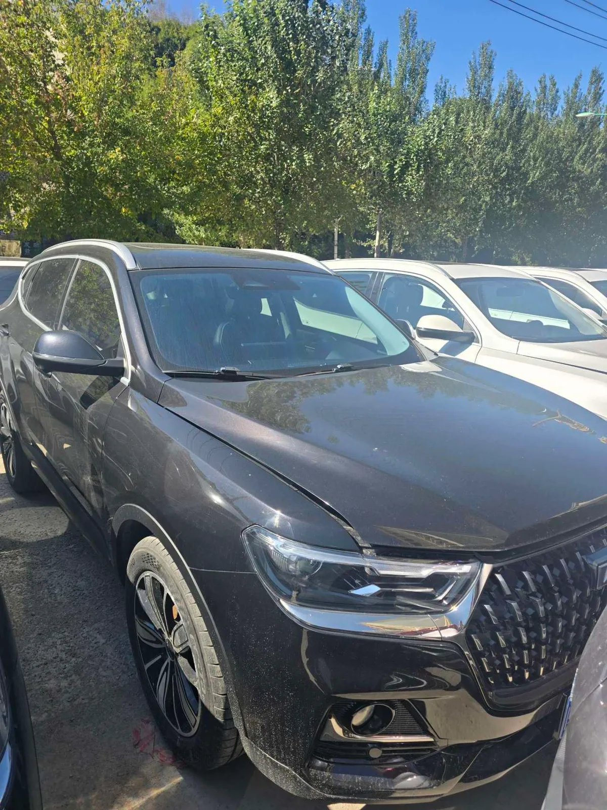 Haval H6 2023 года, снимок 2