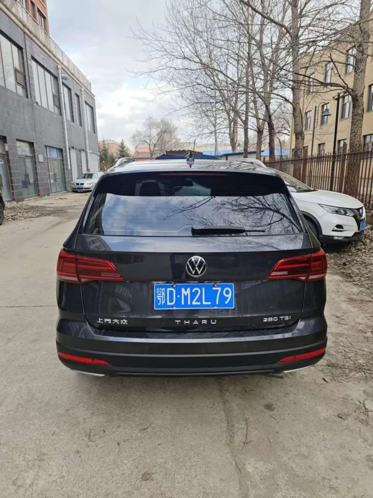 Volkswagen Tharu 2020 года, снимок 6