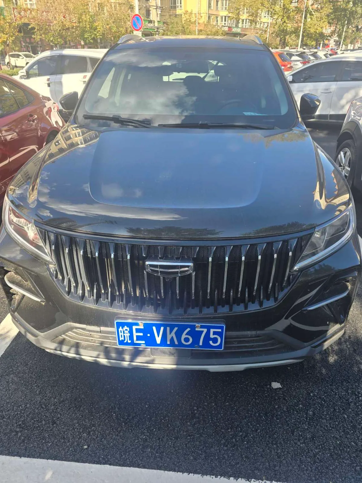 Geely Vision X6 2021 года, снимок 2