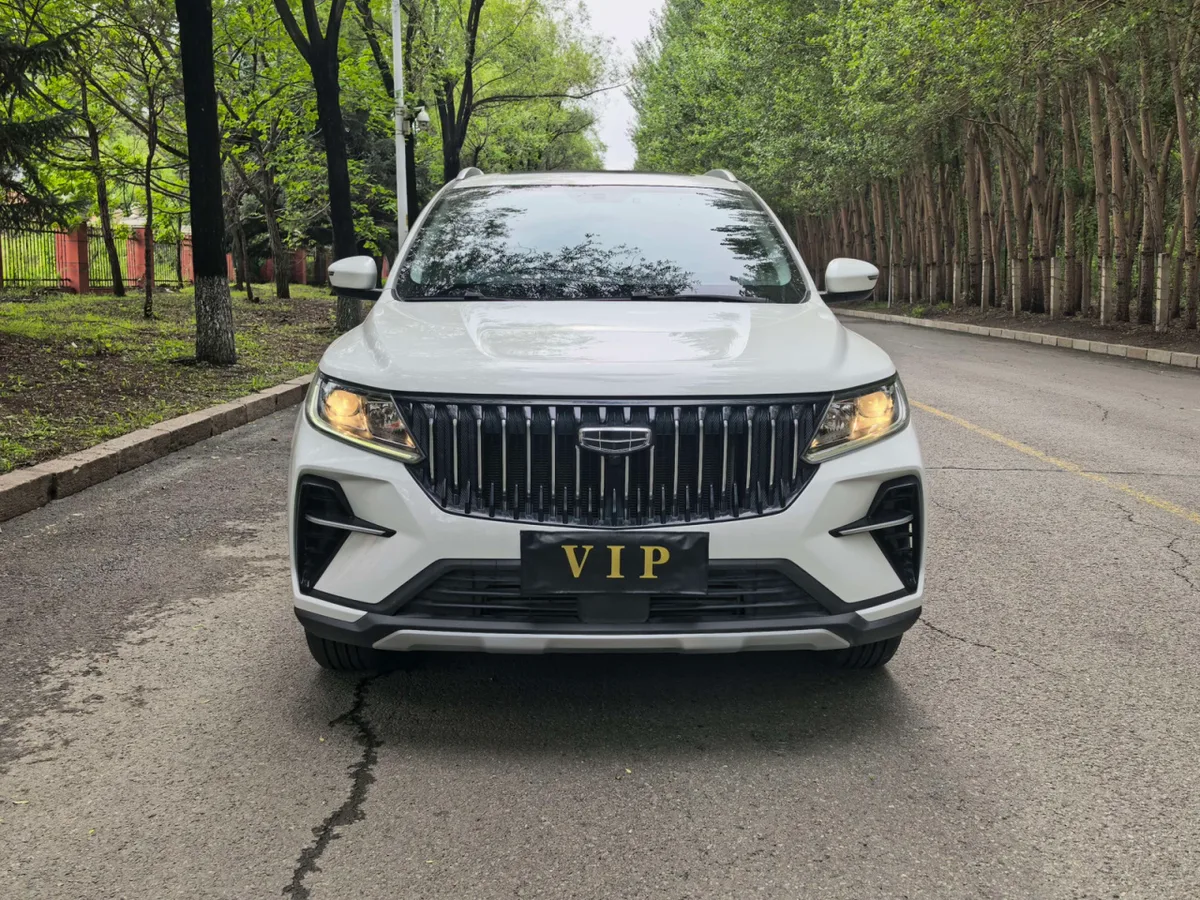 Geely Vision X6 2021 года, снимок 2