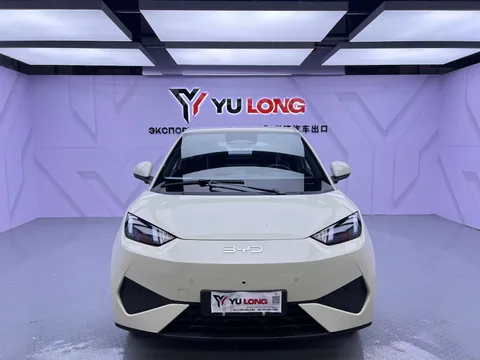 BYD Seagull, 2025