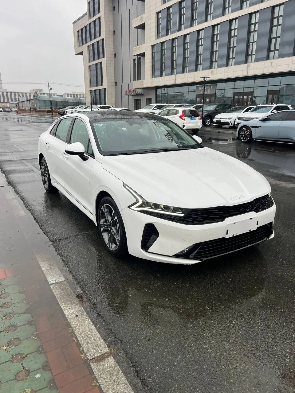 Kia K5, 2023, снимок 3