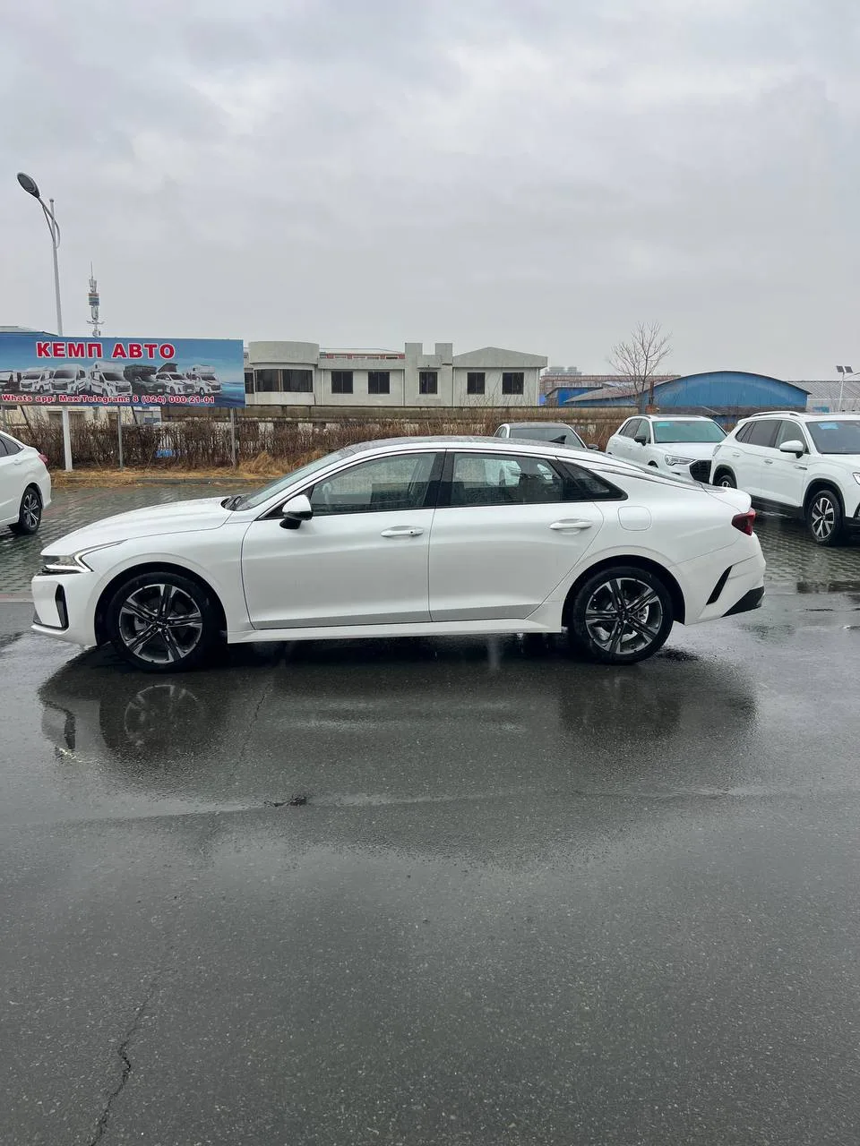 Kia K5, 2023, снимок 4