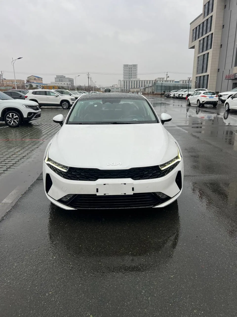 Kia K5, 2023, снимок 5