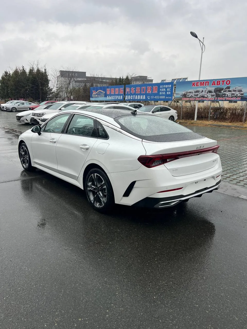 Kia K5, 2023, снимок 6